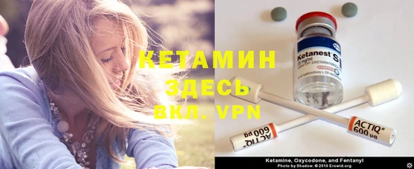 МДПВ Пересвет
