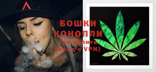 МДПВ Пересвет