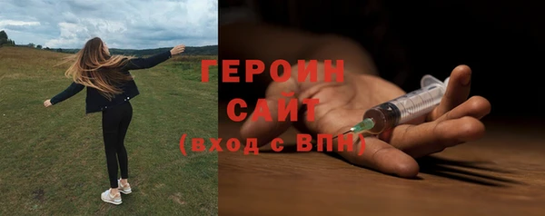 МДПВ Пересвет