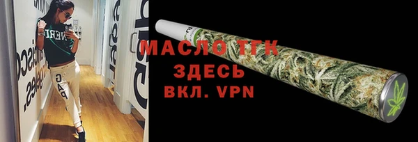 МДПВ Пересвет