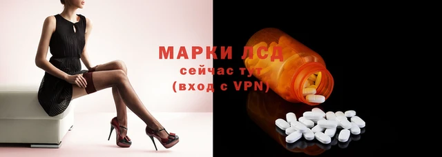 МДПВ Пересвет