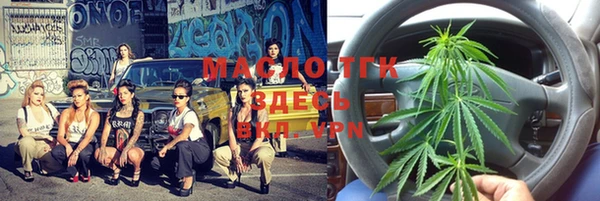 МДПВ Пересвет