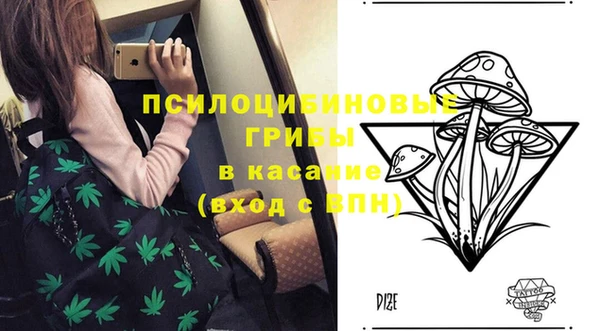 a pvp Пестово
