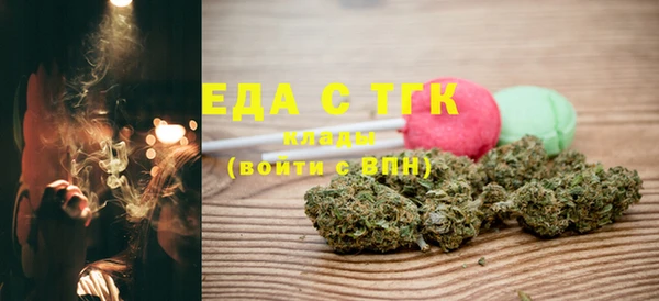 МДПВ Пересвет